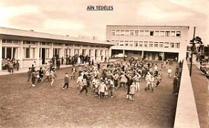 Ain Tedeles 520